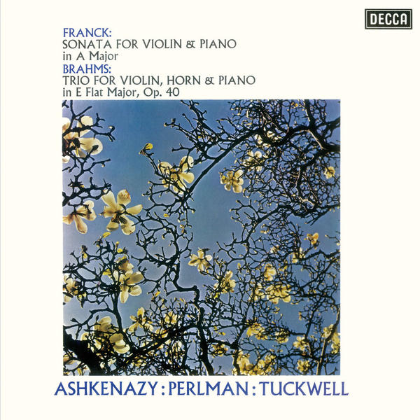 Vladimir Ashkenazy: Violin Sonata / Horn Trio (1973)